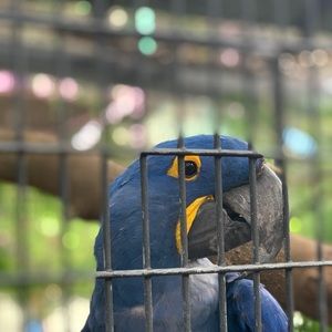 Meet your Posher, Devon